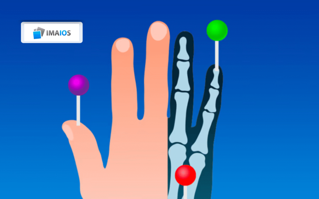 Grupowa subskrypcja IMAIOS e-Anatomy